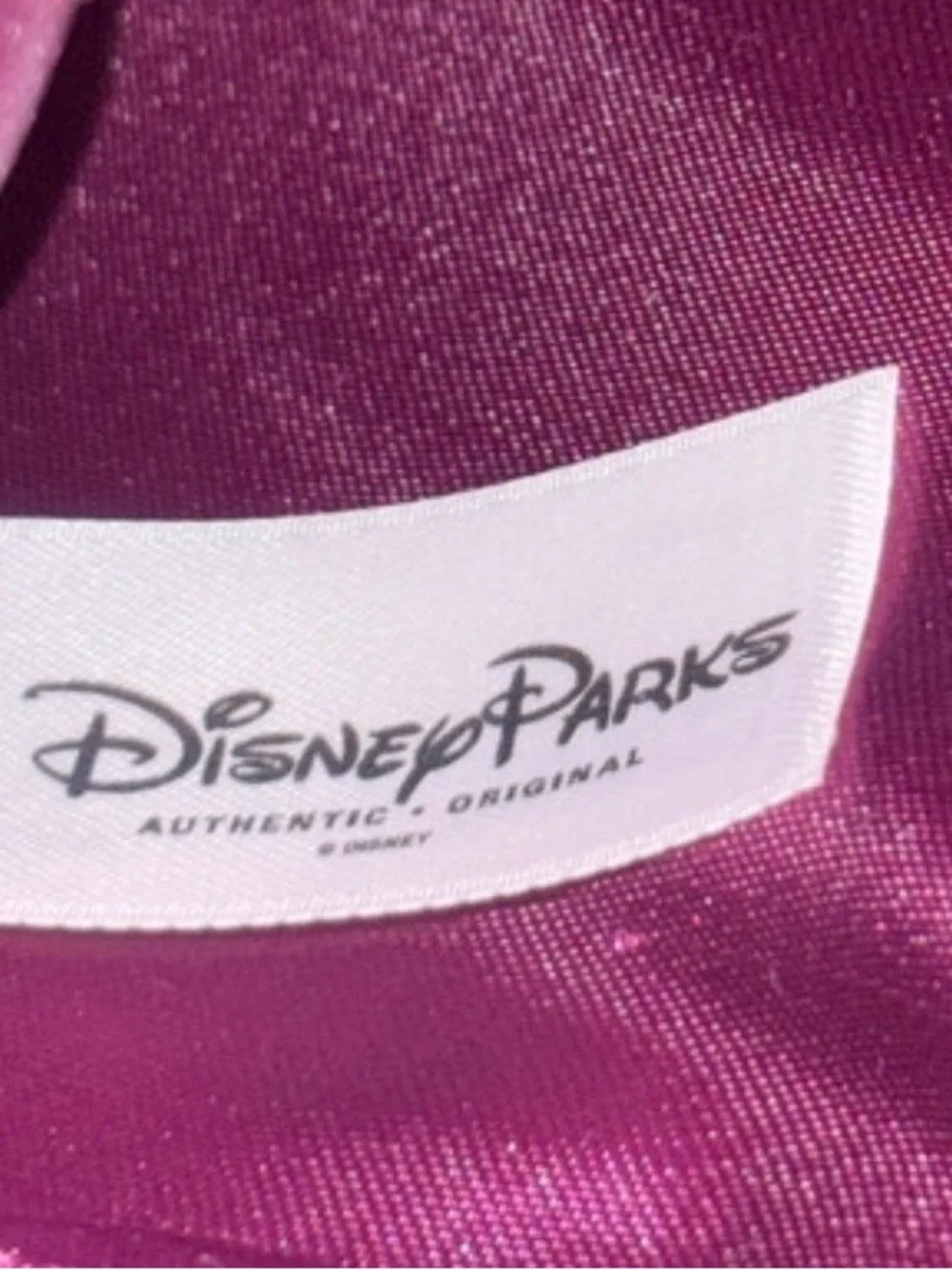 Disney Parks Rupunzel Satin Fabric hat